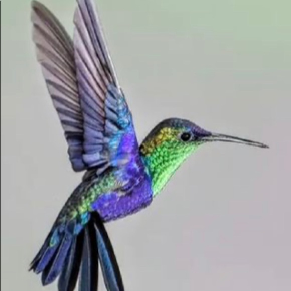 Meet your Posher, Pam - Picture 1 of 1